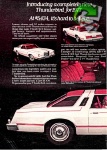 Thunderbird 1976 392.jpg